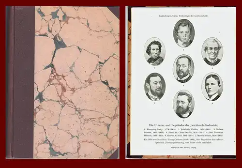 Regelsberger, Friedich: Chemische Technologie der Leichtmetalle und ihrer Legierungen. 