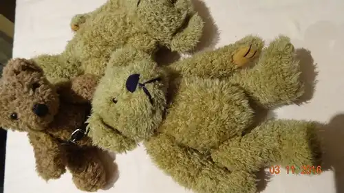Teddybär Teddy Bär 
