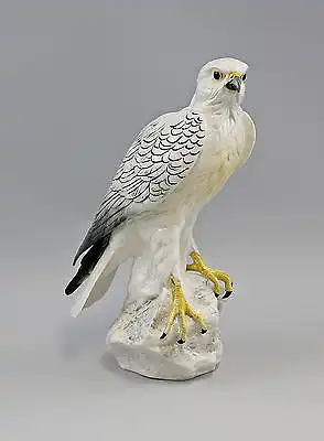 Polar Falcon ENS Thuringia 9941564