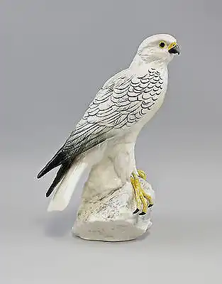 Polar Falcon ENS Thuringia 9941564