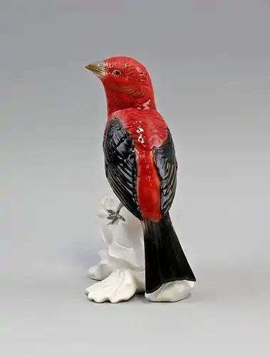 9941648# Porzellan Figur Tangara scharlachrot Vogel H18cm