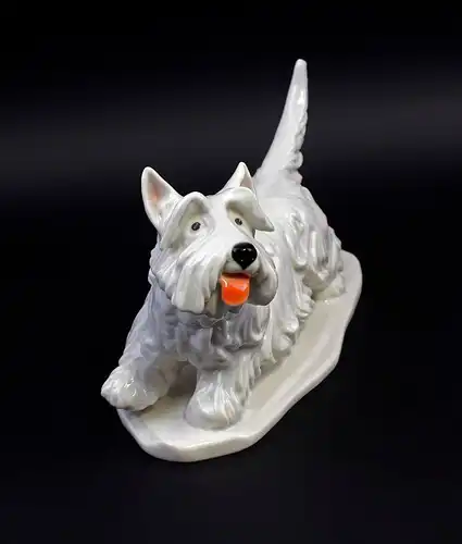 Ens Porzellan Figur Terrier hell hebt Pfote Hund 23x11x15cm 9941584#