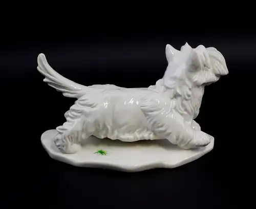 Ens Porzellan Figur Terrier hell hebt Pfote Hund 23x11x15cm 9941584#