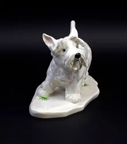 Ens Porzellan Figur Terrier hell Hund 23x11x15cm 9941583#