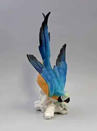 9941803 Porzellan Figur Ens Thüringen Papagei Stürzer blau bisquit H38cm