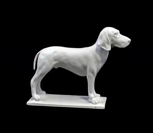 9944395 Porzellan Figur Jagdhund Hund weiß bisquit Kämmer 24x19cm