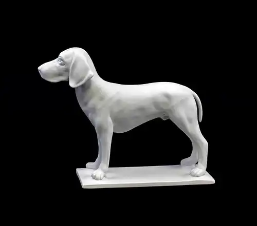 9944395 Porzellan Figur Jagdhund Hund weiß bisquit Kämmer 24x19cm