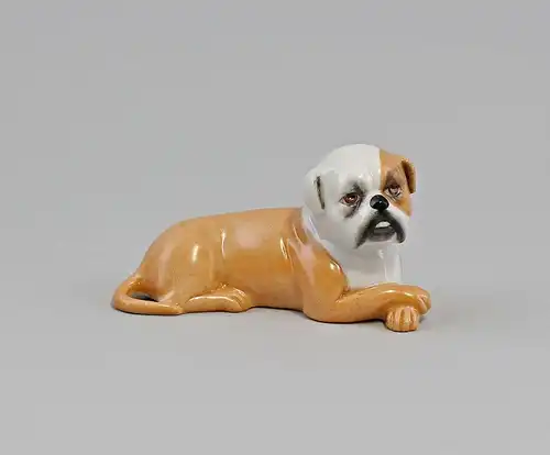 9944402 Kämmer Porzellan Figur Hund Boxer Mops Dogge liegend 9x5cm