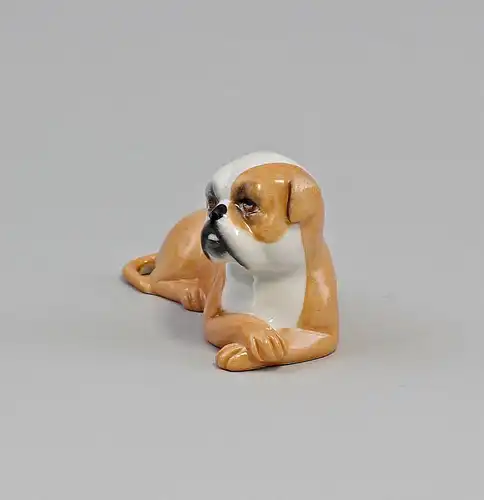 9944402 Kämmer Porzellan Figur Hund Boxer Mops Dogge liegend 9x5cm