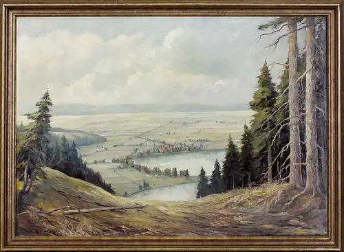 99860159 Öl-Gemälde signiert C. Kauflehner Blick ins Tal Landschaft