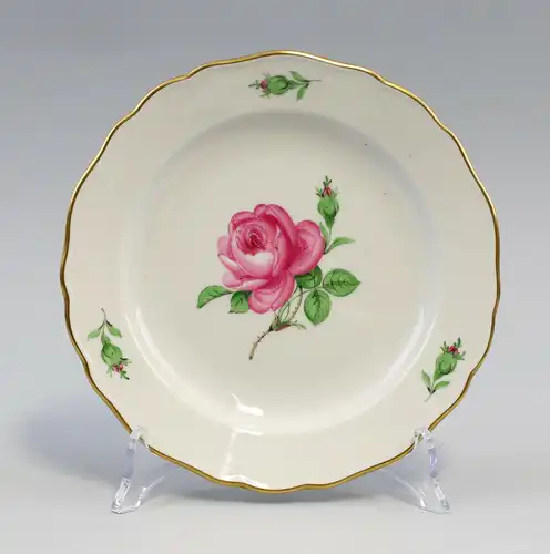 8440031 Porzellan Kuchenteller Meissen Neuer Ausschnitt Meissner Rose D 18 cm