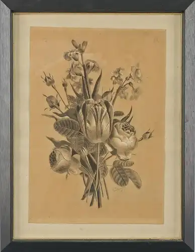 8463010 Botanische Zeichnung Bleistift Pastellkreide signiert Doumere 1877