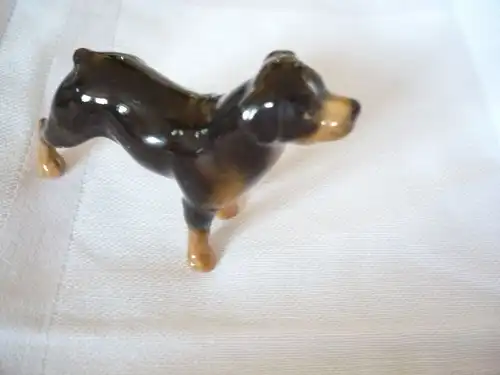 Porzellan-Rottweiler-Hund  (299)