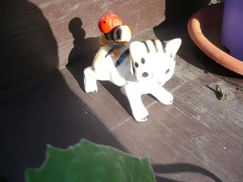 Katze mit Marienchen-Käfer (479)  Preis reduziert