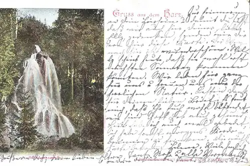 Gruss aus dem Harz v. 1901 Radau Wasserfall (AK028) 