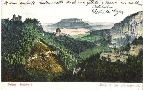Sächs. Schweiz v. 1905 Blick in den Amselgrund (050) 