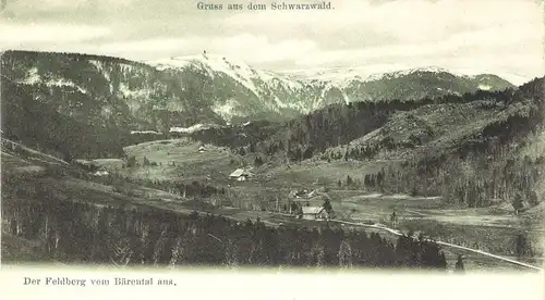 Feldberg v. 1904 Der Feldberg vom Bärental aus gesehen (AK099) 