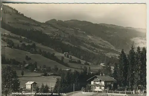 Westendorf v. 1963 Pension Sonnenblick (AK166)