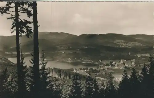 Titisee v. 1964 Teil-Stadt-Ansicht mit See (AK560)