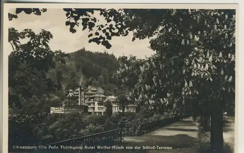 Schwarzburg v. 1936 Hotel Weißer Hirsch (AK613)