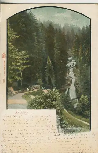 Triberg v. 1901 Wasserfall im Wald (AK617)