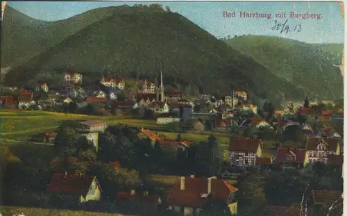 Bad Harzburg v. 1913 Dorfansicht (AK673)