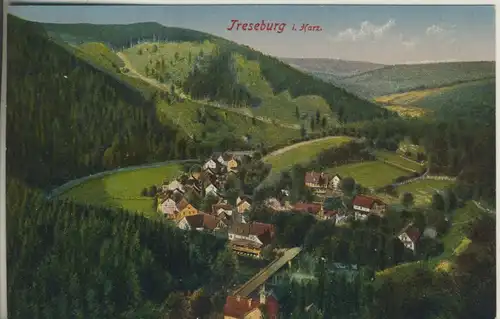 Treseburg im Harz v. 1913 Dorfansicht (AK694) 