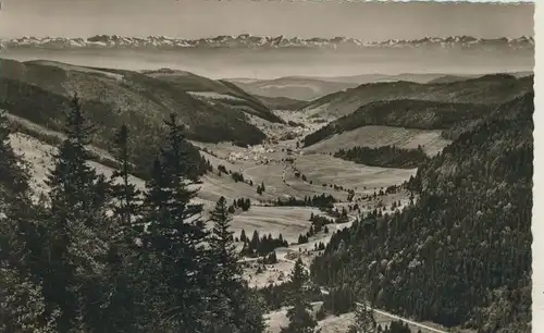 Feldberg v. 1964 Blick vom Feldberg ins Menzenschwander Tal mit Schweizer Alpen (AK713)