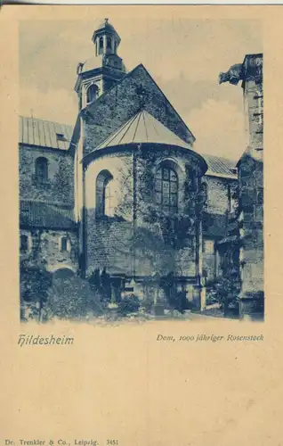 Hildesheim v. 1904 Dom - 1000 jähriger Rosenstock (AK736)