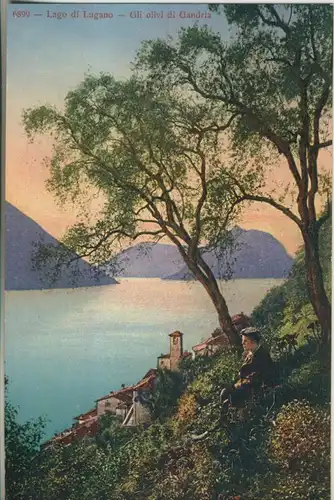 Lago di Lugano v. 1927 Oli olivi di Gandria (AK813)