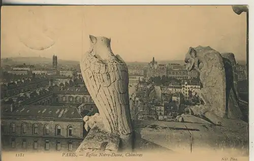 Paris v. 1907 Eglise Notre Dame - Chimeres (AK845)