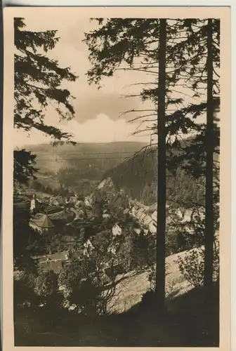 Wildemann v. 1935 Dorfansicht (AK898)