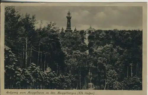 Berlin v. 1953 Müggelturm in den Müggelbergen (AK903) 
