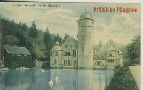 Schloß Mespelbrun im Spessart v. 1910 (AK920) 