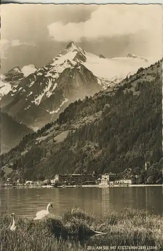 Zell am See v. 1955 Teil-Dorf-Ansicht (AK929)