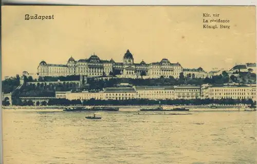 Budapest v. 1908 Die Königliche Burg (AK941) 