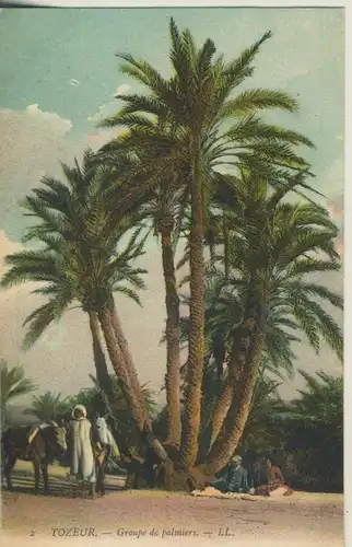 Tozeur v. 1910 Groupe de palmiers (AK992)