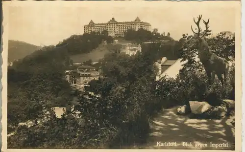 Karlsbad v. 1939 Blick gegen Imperial (AK1175) 
