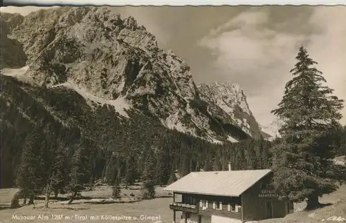Köllespitze v. 1960 Musauer Alm (AK1319)