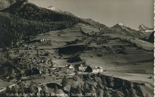 Mallnitz v. 1961 Blick ins Dösenthal mit Säuleck (AK1327)