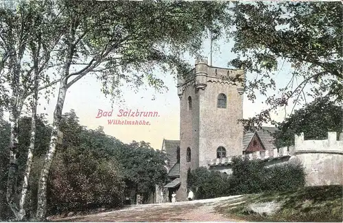 Bad Salzbrunn - Wilhelmshöhe von 1919 (019AK)