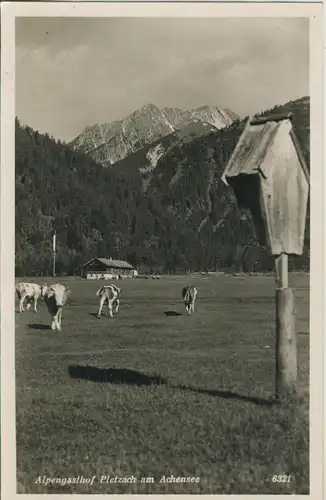 Achensee v. 1962 Alpengasthof Pletzach (AK1398)