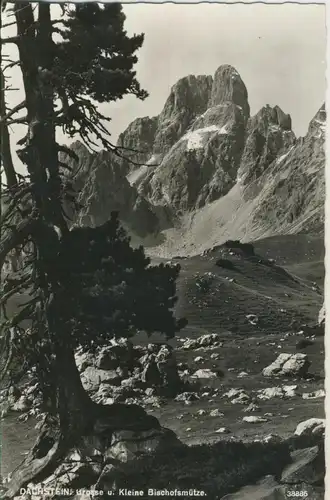 Dachstein v. 1963 Große und Kleine bischofsmütze (1403)
