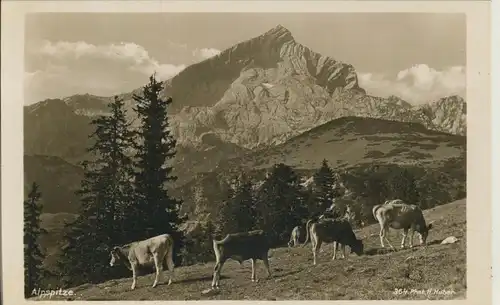 Garmisch-Partenkirchen v. 1965 Die Alpsitze (AK1445)