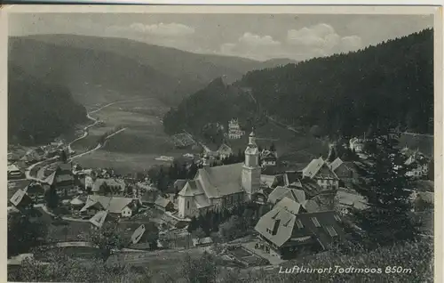 Todtmoos v. 1934 Teiul-Stadt-Ansicht (AK1536)