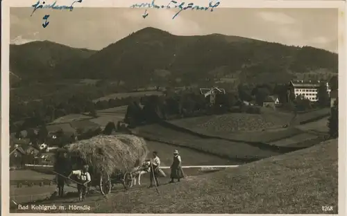 Bad Kohlgrub v. 1965 Bei der Heuernte (AK1540)