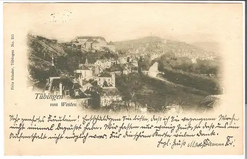 Tübingen von Westen von 1901 (L049AK)