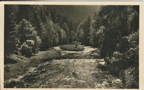 Rheinfeld - Schwarzwald von 1946  (AK1595)