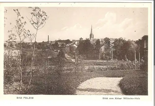 Bad Polzin- Blick vom Kaiser-Wilhelm-Hein von 1915 (073AK)