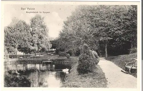 Bad Polzin- Karpfenteich im Kurpark von 1915 (075AK) 